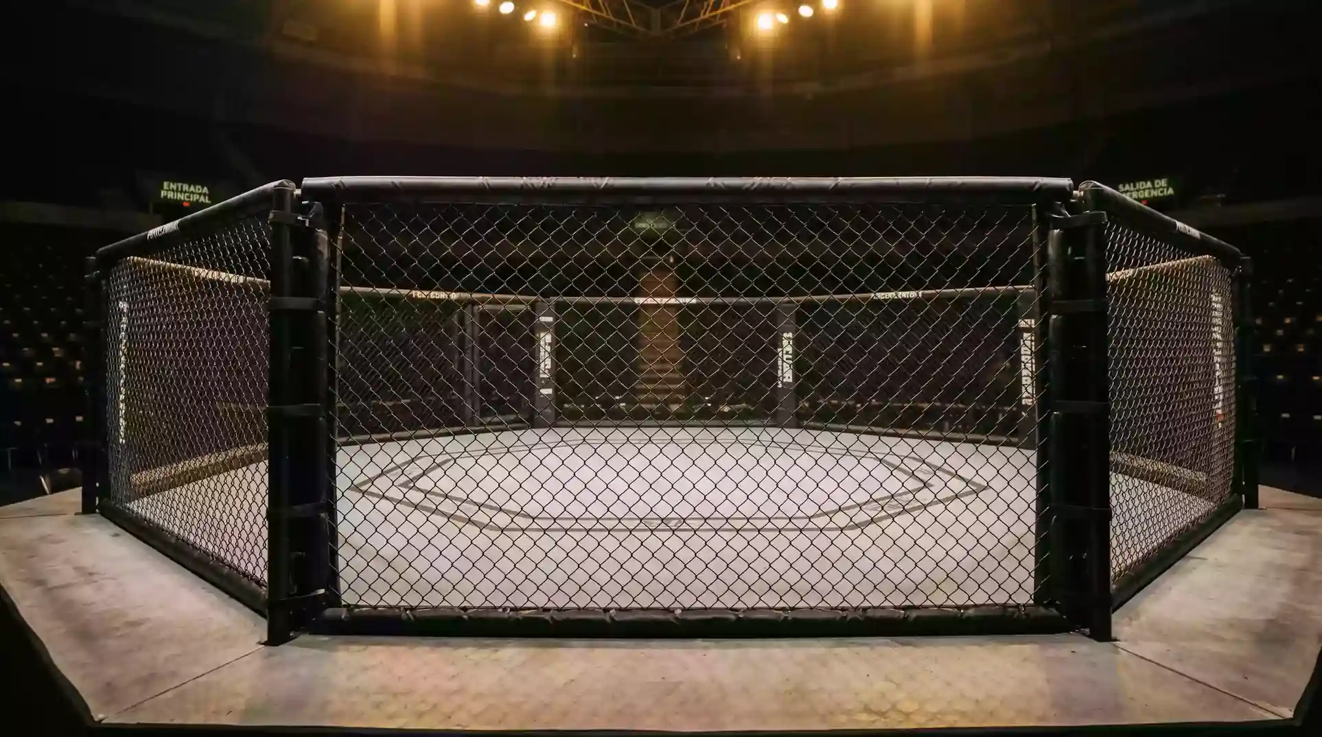 Análisis profesional de apuestas en artes marciales mixtas en el mercado regulado español
